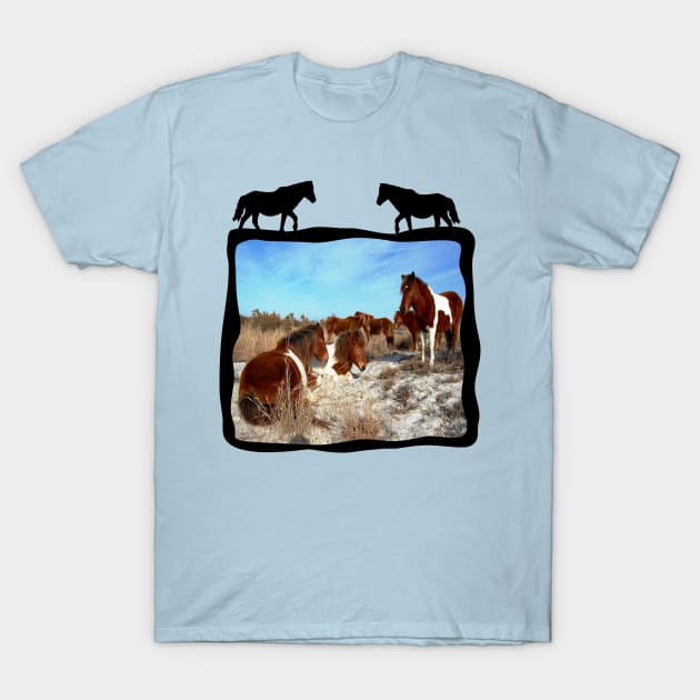 Wild horses, wildlife, gifts, Assateague Island T-Shirt by sandyo2ly